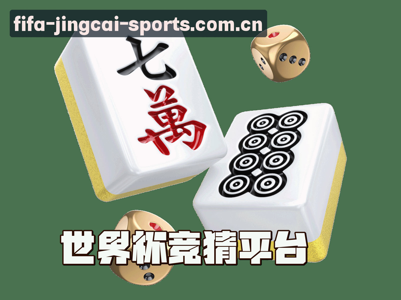 关于我们关于我们信息